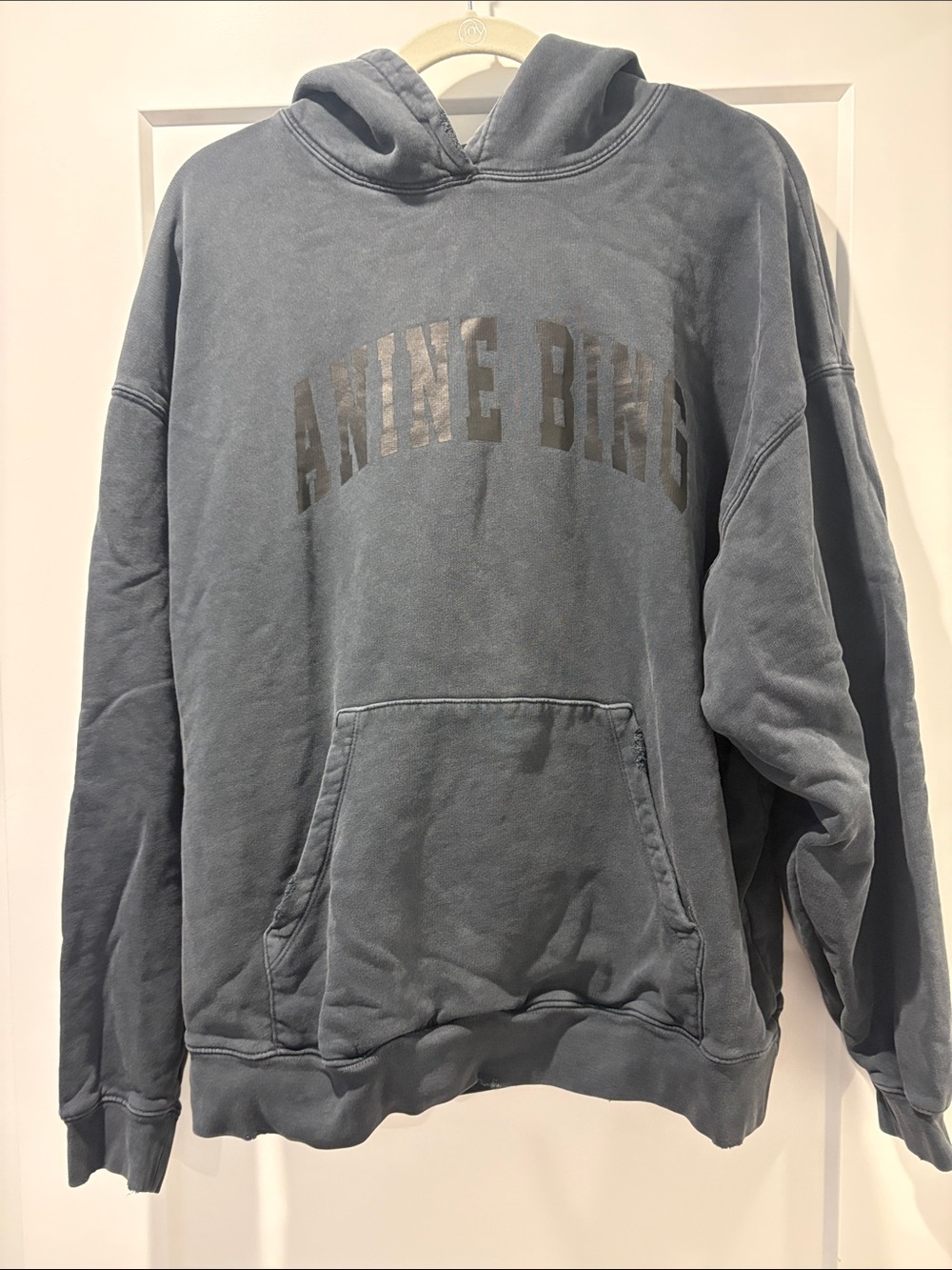 Anine Bing Washed Slate gray Logo Hoodie